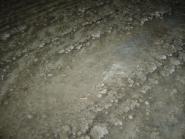 img012.jpeg.small.jpeg